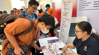 A series of high-paying job opportunities ranging from 40-100 million VND/month.