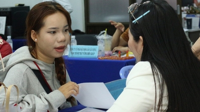 ມີວຽກເຮັດງານທຳຫຼາຍພັນຕຳແໜ່ງກຳລັງລໍຖ້າຜູ້ສະໝັກ, ໂດຍບາງຕຳແໜ່ງສະເໜີເງິນເດືອນສູງເຖິງ 50 ລ້ານດົ່ງຕໍ່ເດືອນ.