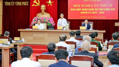 Dettagli sulla ristrutturazione e fusione di agenzie e unità a Vinh Phuc.