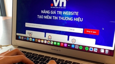 Zachování online kultury prostřednictvím vietnamských doménových jmen.