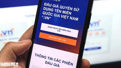 שם הדומיין '.vn' נמכר במכירה פומבית תמורת סכום שיא של כמעט 1.6 מיליארד דונג וייטנאמי.