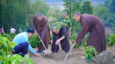 Desde Ciudad Ho Chi Minh hasta Dien Bien, el monje trajo vegetación y luz a las tierras altas.