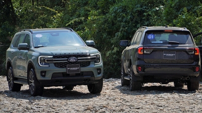 Продажи 7-местных внедорожников: Toyota Fortuner разошлась тиражом чуть более 60 единиц, а продажи Everest упали до рекордно низкого уровня.