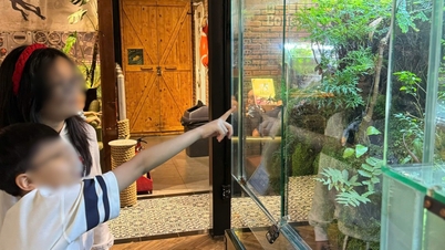 Nếu được tự thiết kế mùa hè lý tưởng, trẻ em mong gì?