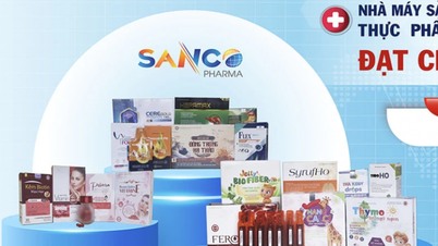 Kalite ihlalleri nedeniyle kınanmadan önce Sanco Pharmaceuticals ne tür "sarsıntılar" yaşadı?