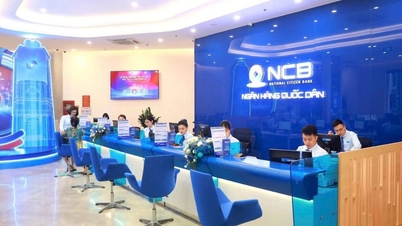 NCB zahajuje plán na zvýšení svého základního kapitálu o dalších 10 bilionů VND prostřednictvím profesionálních investičních kanálů.
