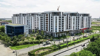 លំនៅឋានសង្គមសម្រាប់ជួល៖ បំណែកដែលបាត់នៃទីផ្សារ។
