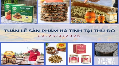 ‘Sức sống hàng Việt’ số 5: Tuần lễ sản phẩm đặc trưng của Hà Tĩnh