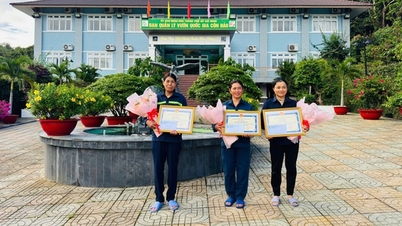 Khen thưởng 3 công nhân vệ sinh môi trường cứu hộ thành công 2 cá thể Đồi mồi tại bãi biển An Hội, TP. Hồ Chí Minh