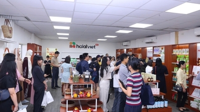 ¿Qué deben preparar las empresas vietnamitas para no quedarse fuera del mercado halal?