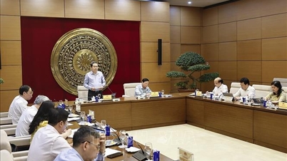 ประธานสภาแห่งชาติ ตรัน ทันห์ มัน กล่าวว่า คณะกรรมการกฎหมายและยุติธรรมมีบทบาทเชิงรุกในการสร้างสถาบันเพื่อการพัฒนา