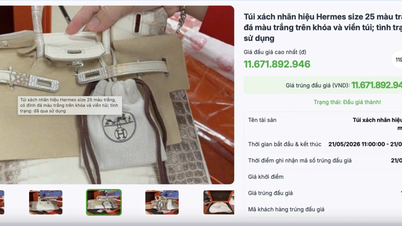 Dua tas Hermès albino milik Truong My Lan berhasil dilelang, menghasilkan lebih dari 14 miliar VND.