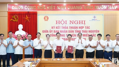 Thai Nguyen și Corporația de Energie a Nordului își consolidează cooperarea în dezvoltarea infrastructurii electrice.