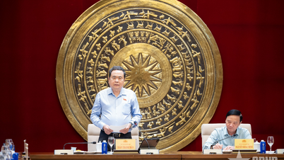 Pengerusi Dewan Undangan Negeri, Tran Thanh Man: Jawatankuasa Undang-undang dan Keadilan mesti proaktif dalam mewujudkan institusi untuk pembangunan.