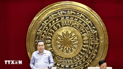 Hukuk ve Adalet Komitesi, kalkınma için kurumlar oluşturma konusunda inisiyatif almaktadır.