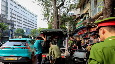 Hanoi schlägt vor, die Strafen für das Überschreiten von Gehwegen und Fahrbahnen zu erhöhen.