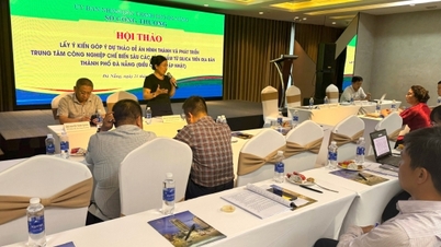 Visszajelzést kérek a Da Nang Silica Ipari Központ projekttel kapcsolatban.
