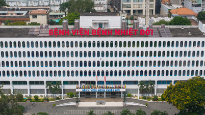 হো চি মিন সিটি কর্তৃপক্ষ হাসপাতালগুলোকে ইবোলা ভাইরাসে আক্রান্ত বলে সন্দেহভাজন ব্যক্তিদের আলাদা রাখার জন্য প্রস্তুত থাকতে নির্দেশ দিয়েছে।