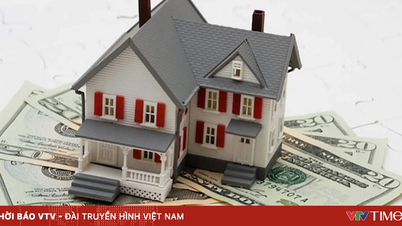 Úředníci musí deklarovat hotovost, zlato a diamanty v hodnotě 150 milionů VND nebo více.