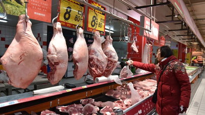 จีนสั่งห้ามนำเข้าสุกร หมูป่า และผลิตภัณฑ์ที่เกี่ยวข้องจากฟิลิปปินส์
