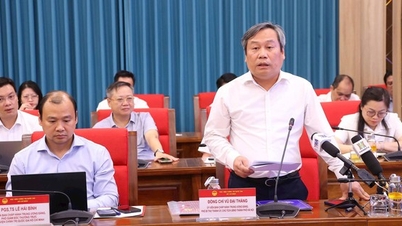 Hanoi: 3 options for selecting pilot locations to build the 'socialist commune/ward' model.