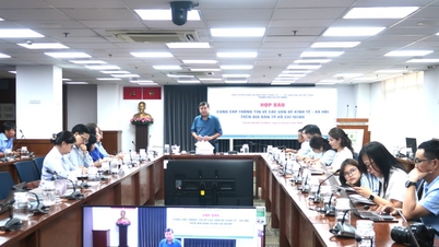Kota Ho Chi Minh telah dipilih untuk menjadi tuan rumah kongres percontohan Palang Merah di tingkat provinsi/kota.