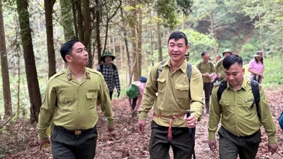 ນຳເອົາເລື່ອງລາວການອະນຸລັກປ່າໄມ້ມາສູ່ທົ່ງນາສາລີ ແລະ ລົງສູ່ຕະຫຼາດຊົນນະບົດ.