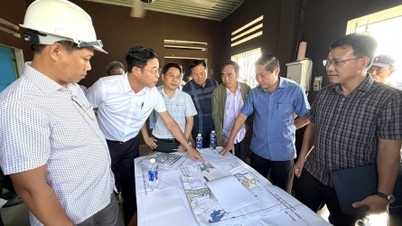 Accelerare i lavori di realizzazione dei parchi industriali Tam Anh 1 e Tam Anh - An An Hoa.