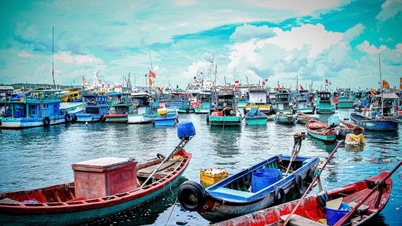 De provincie An Giang reserveert een budget van maximaal 11 miljoen VND per vissersvaartuig om de controle op volgapparatuur voor illegale, ongemelde en ongereguleerde (IUU) visserij te "verscherpen".
