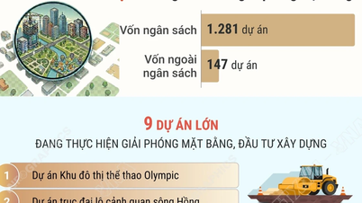 Prace związane z oczyszczaniem terenu w mieście Hanoi