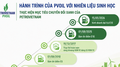15-letnia historia PVOIL, która ma na celu wprowadzenie biopaliw do codziennego życia ludzi.