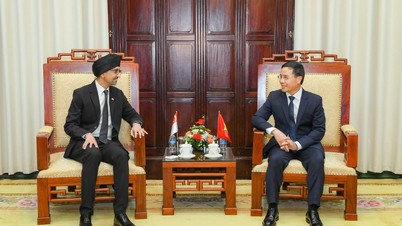 Gabenor Pham Duc An menerima menerima Duta Besar Istimewa dan Mutlak Republik Singapura ke Vietnam.