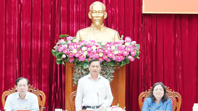 Vinh Long berfokus pada peningkatan kualitas pendidikan untuk memenuhi tuntutan pembangunan baru.