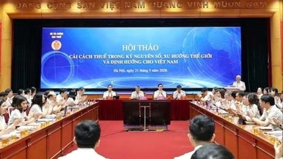 국세청은 글로벌 표준에 부합하기 위해 디지털 거버넌스 개혁을 강화하고 있습니다.
