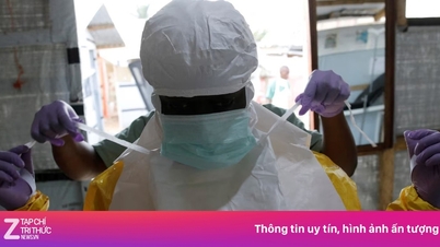 Wietnam zwołuje nadzwyczajne spotkanie w sprawie epidemii wirusa Ebola po ostrzeżeniu WHO.
