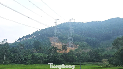 500kV 라오까이-빈옌 송전선로 하부에서 발생한 산사태 사고에 대해 시공사는 뭐라고 말합니까?