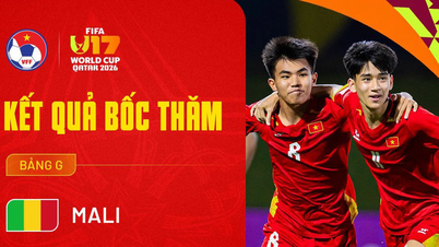 វៀតណាម ស្ថិតនៅក្នុងពូល G ជាមួយបែលហ្ស៊ិក ម៉ាលី និងនូវែលសេឡង់ ក្នុងព្រឹត្តិការណ៍បាល់ទាត់ពិភពលោកអាយុក្រោម ១៧ ឆ្នាំ ឆ្នាំ ២០២៦។