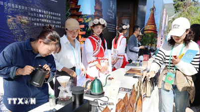Vietnam a Čína posilují spolupráci v oblasti kávy a otevírají tak nové příležitosti v Yunnanu.