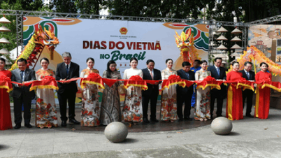 Il Primo Ministro del Vietnam partecipa alle attività in occasione della "Giornata del Vietnam in Brasile 2024".