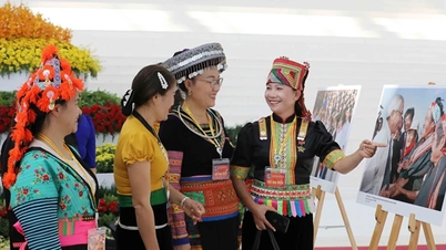 Việt Nam - nỗ lực không ngừng trong bảo vệ nhân quyền, chống tội ác toàn cầu