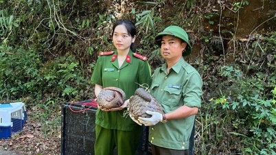 Five endangered and rare animals were released back into the forest in Dak Lak.