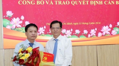 A Ho Si Minh-városi Pénzügyi Minisztérium igazgatóhelyettesét nevezték ki az An Phu Dong kerület Népi Bizottságának elnökévé.