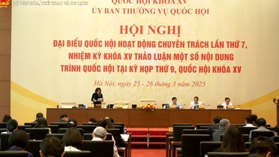 Completare il dossier da sottoporre all'Assemblea Nazionale per commenti e approvazione della Legge sulla Pubblicità durante la 9a sessione.