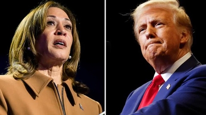 I due candidati, Harris e Trump, sono testa a testa in uno stato chiave per le elezioni.