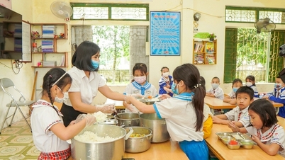 โครงสร้างอาหารที่สมดุลสำหรับนักเรียน