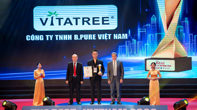 A Vitatree ausztrál szabványoknak megfelelő minőséggel bekerült a „Vietnam 10 legjobb márkája 2026-ban” listájára.
