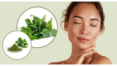 Centella asiatica sivilce tedavisinde yardımcı olur mu?