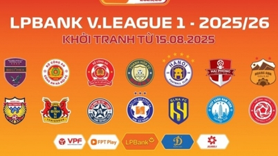 V-liga 24. fordulója: 2025/26-os szezon: Ninh Binh vs Ho Si Minh City rendőrség, Ha Tinh vs Hanoi Police, Hanoi vs Nam Dinh