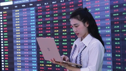 Tendances boursières du 22 mai : rebond des valeurs technologiques.