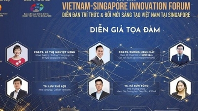 Des intellectuels vietnamiens à Singapour unissent leurs efforts pour favoriser l'innovation.